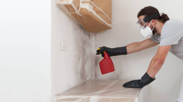 Professional Basement Mold Remediation technician working in Garner, NC