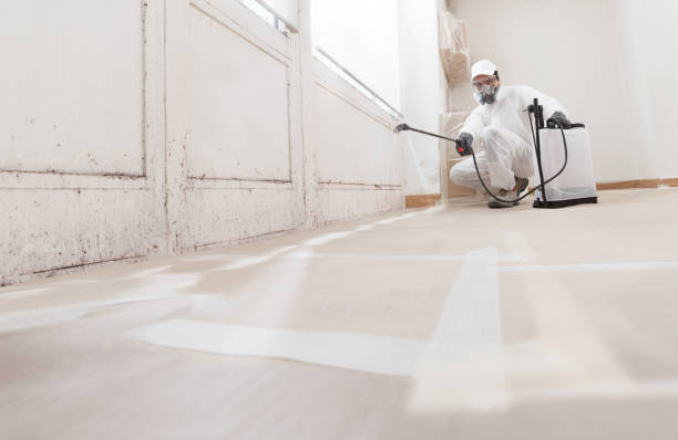24/7 Emergency Basement Mold Remediation experts in Garner, NC