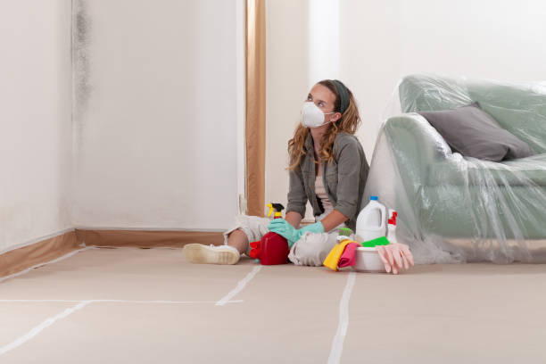 Reliable Basement Mold Remediation contractor in Garner, NC by Car Mold Remediation
